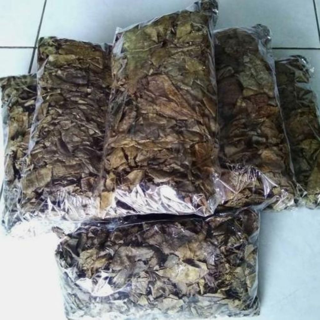 

Daun Ketapang laut kering 100gram Termurah