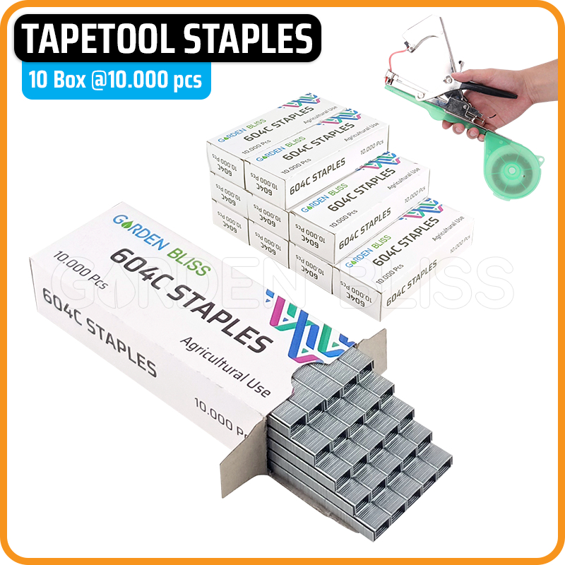 

10 Box Tapetool Refill Staples | Staples Isi Ulang Tapetool