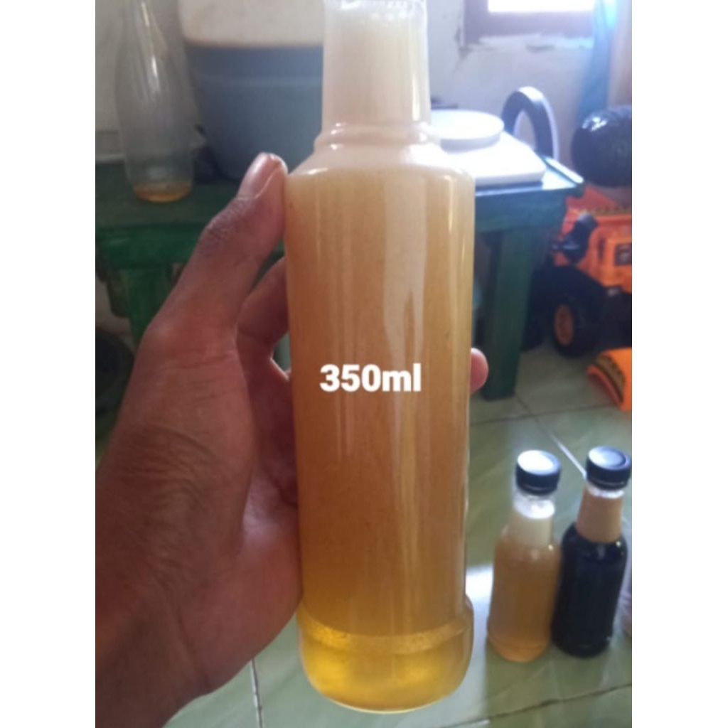 

Madu Odeng Asli Hutan Liar Original Tanpa Campuran 100℅ Murni