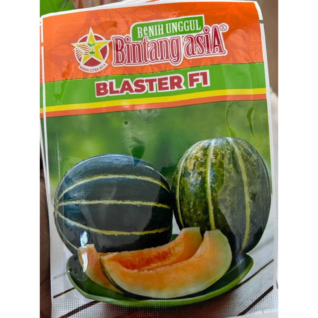 Benih Blewah Blaster f1 15gram Bintang Asia
