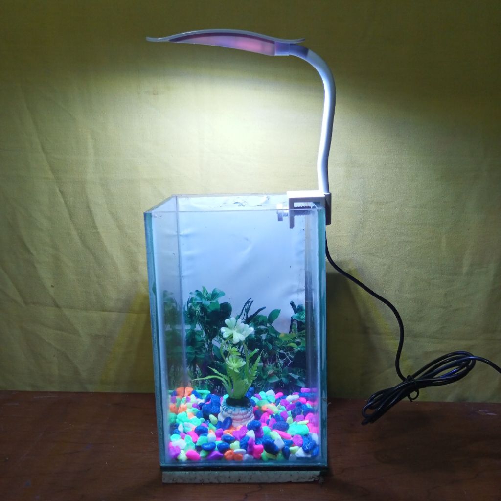 Aquarium soliter cupang/Guppy (15x 15x20)