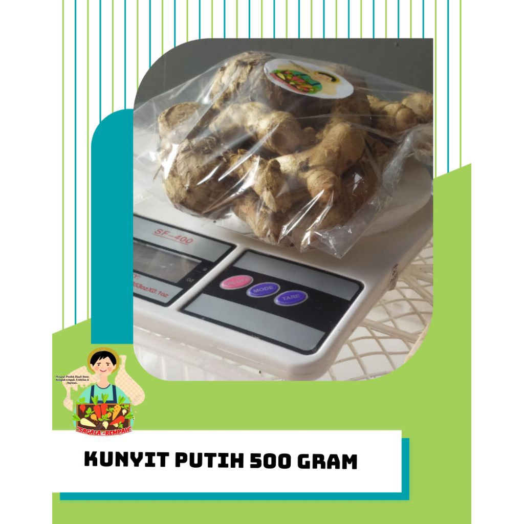 

KUNYIT PUTIH SEGAR 500 GRAM OBAT HERBAL