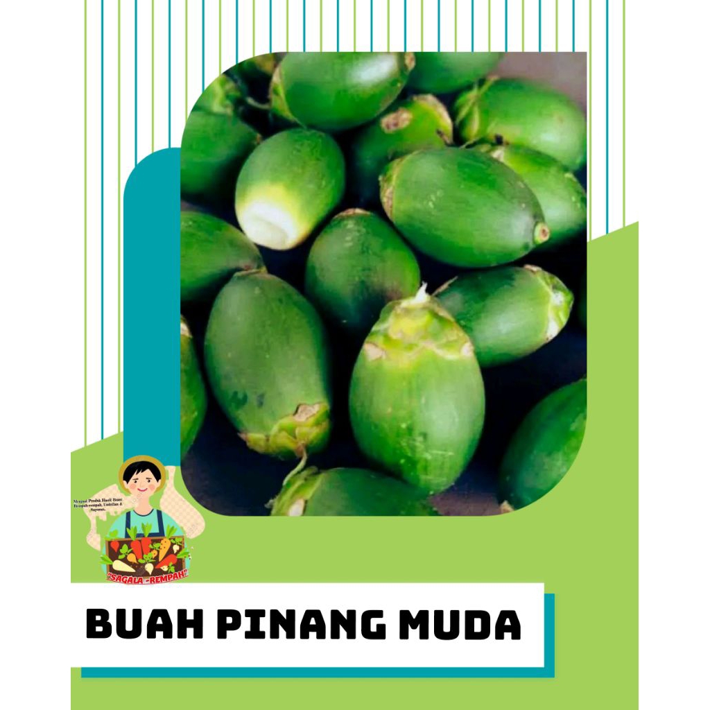 

BUAH PINANG MUDA 500 GRAM