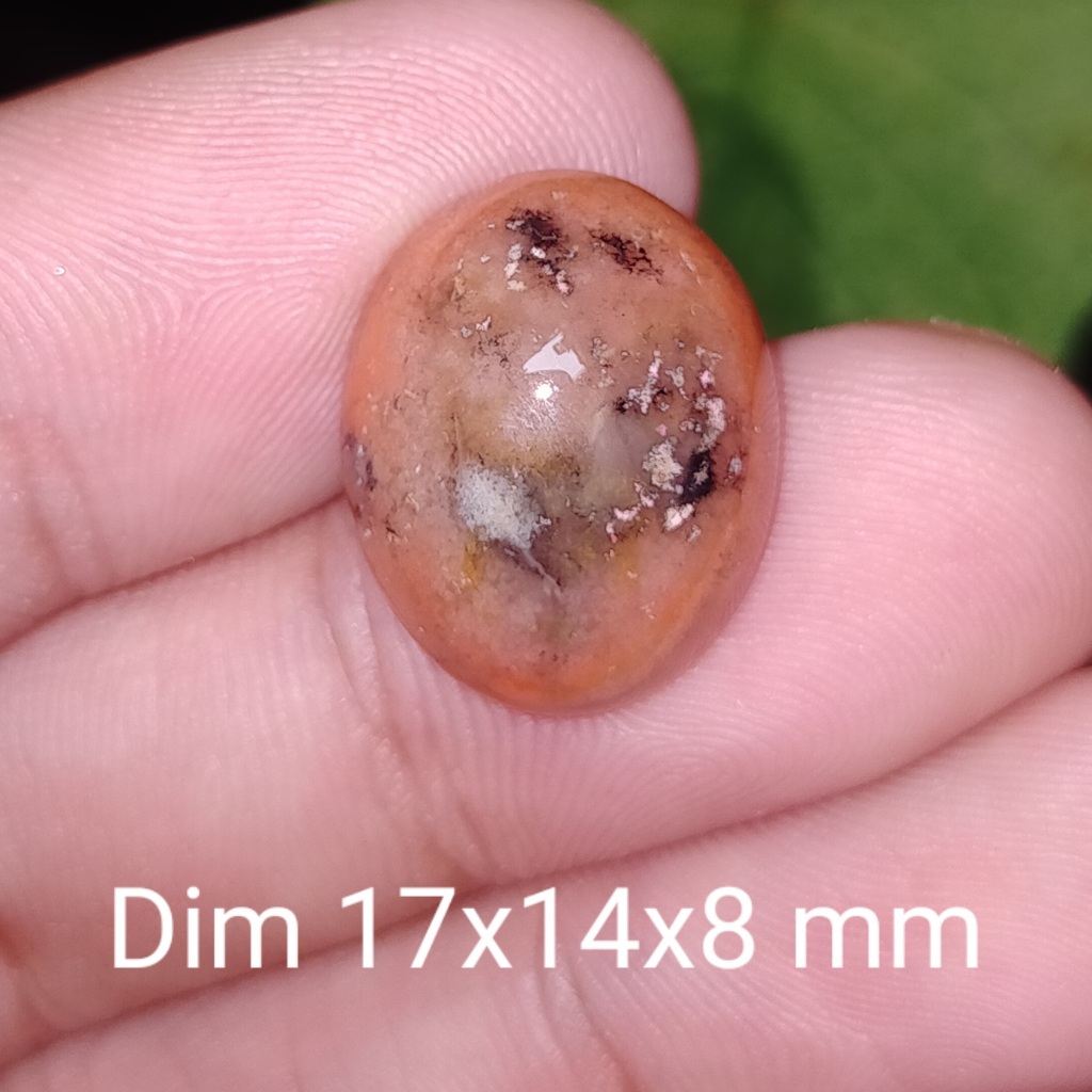 BATU AKIK ANTIK CEMPAKA ASLI NATURAL KALIMANTAN cek batu lainnya yaman api wulung opal bacan permata