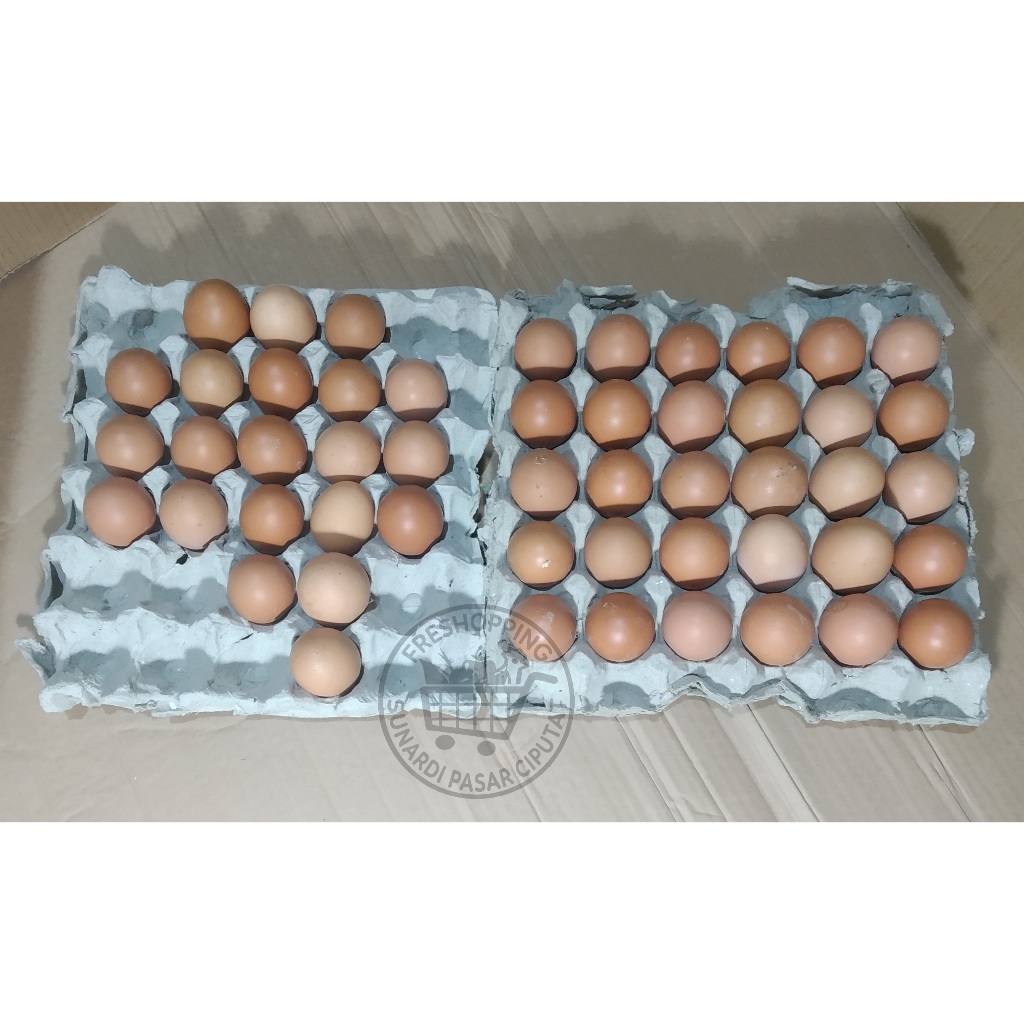 

Telor Ayam Negri Per 3 kg max 6kg