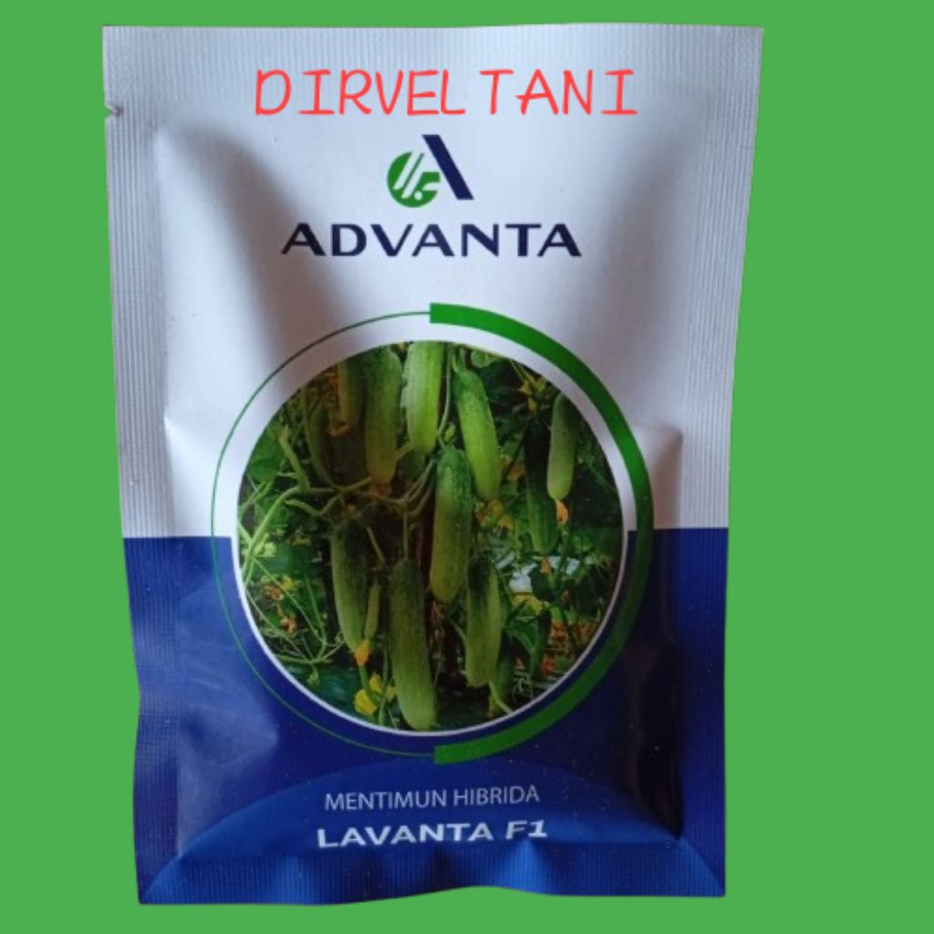 benih timun lavanta 20gram