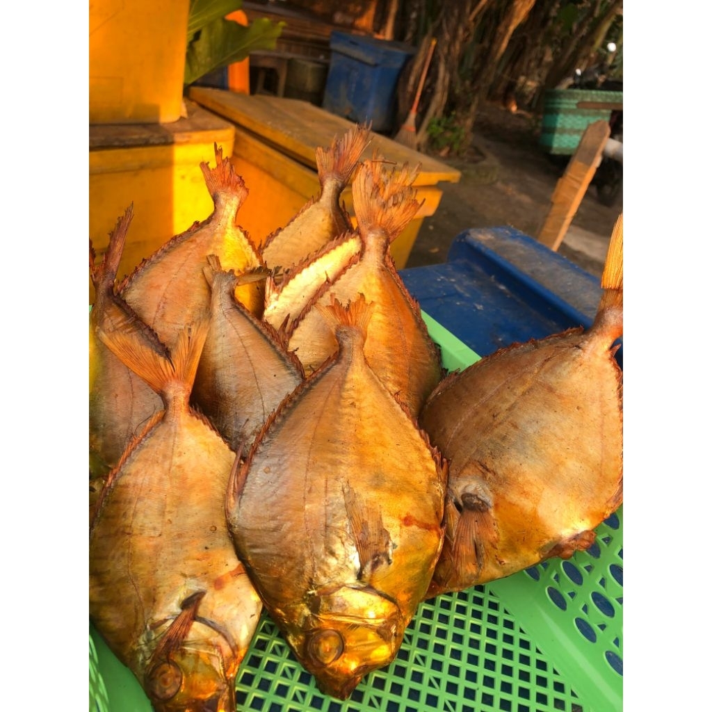 

TIRTA FISH - TERMURAH TERLARIS IKAN PETEK ASAP