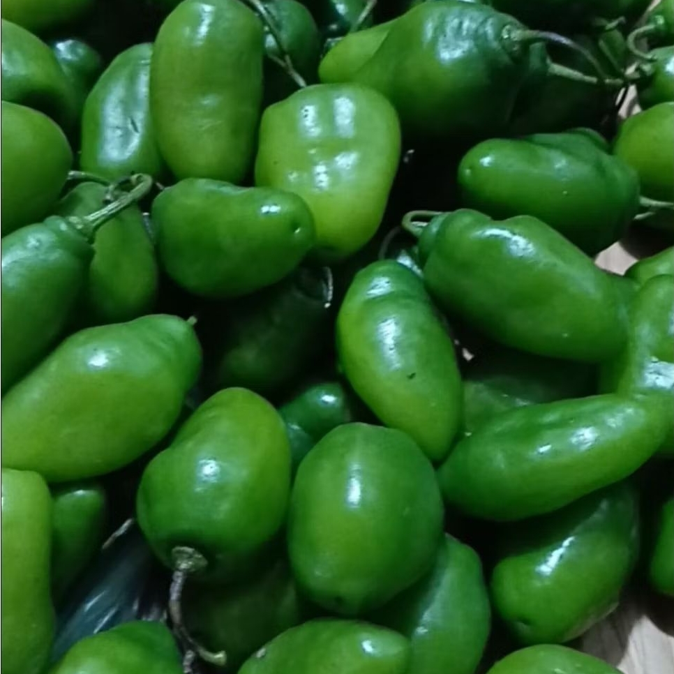 

cabai gendot murah 250gr