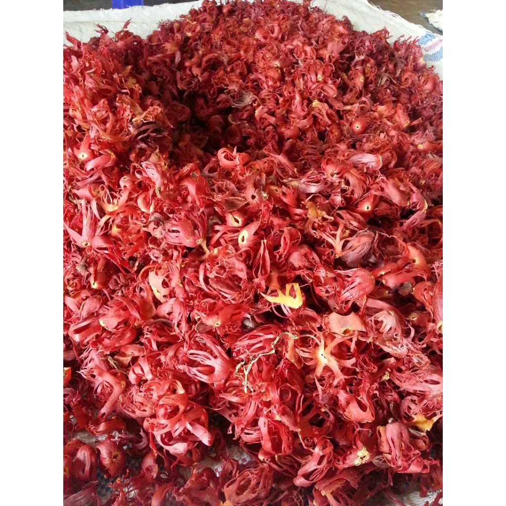 

bunga pala per 100 gram