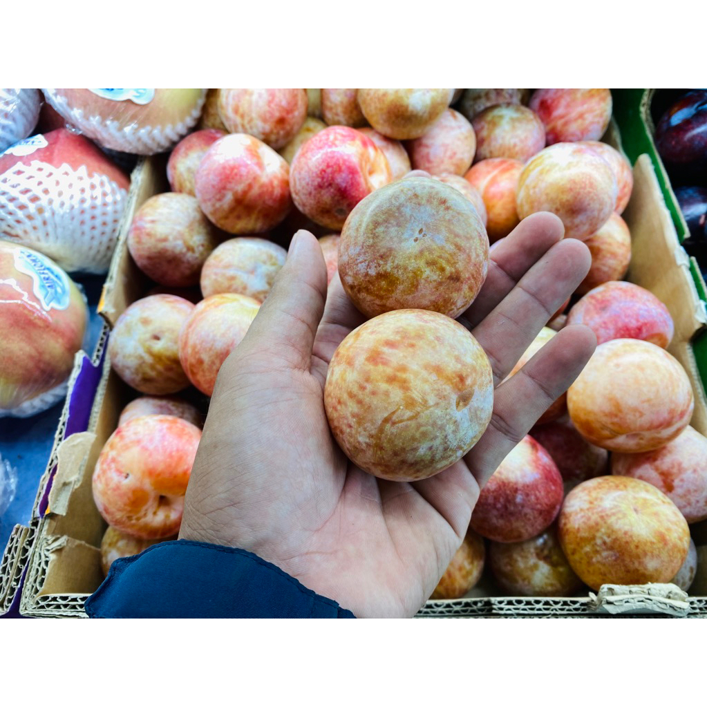 

Plum pluot dapple dandy usa super plum 500 grm