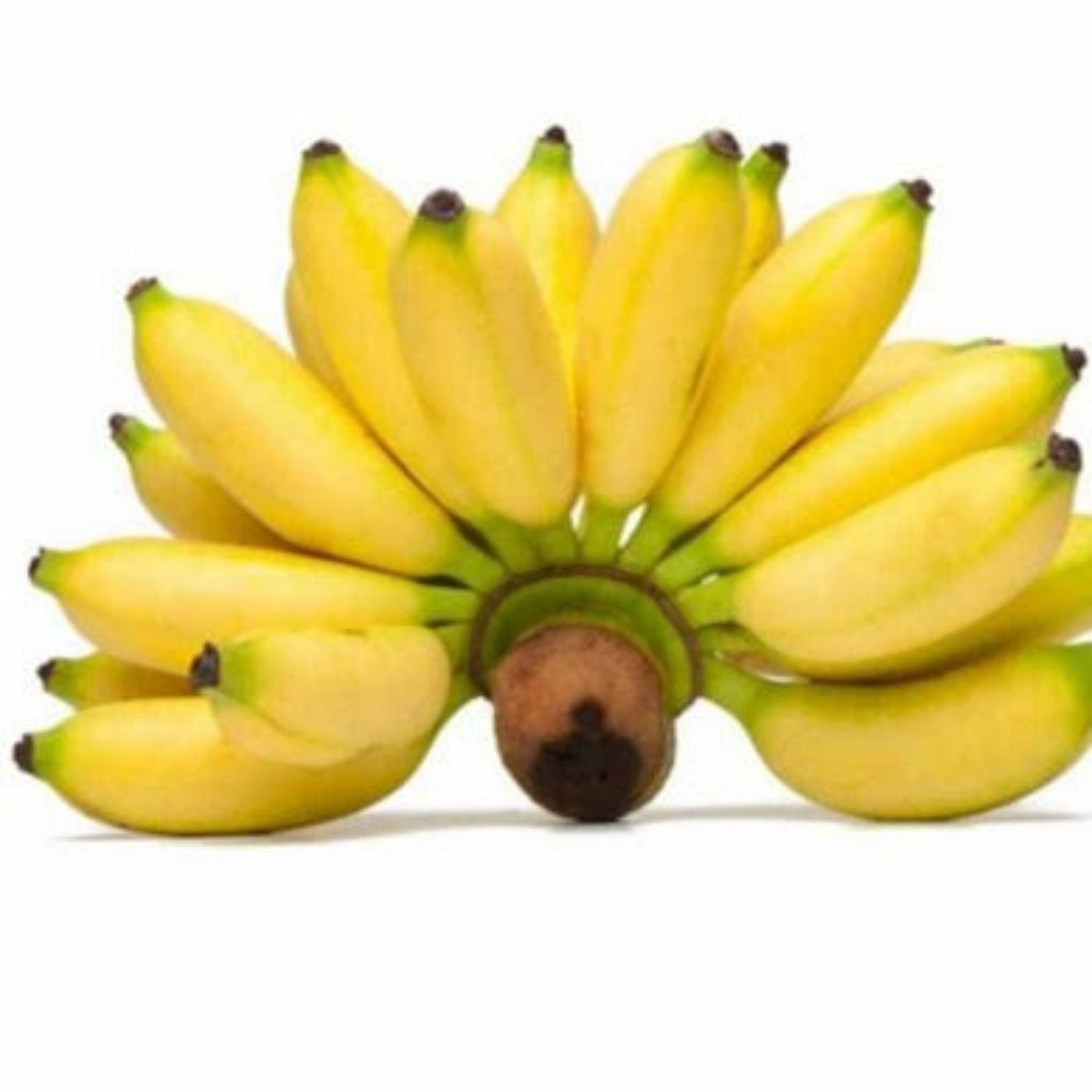 

Pisang Banten / Pisang muli / pisang lampung Fresh 1 sisir (Buah Segar)