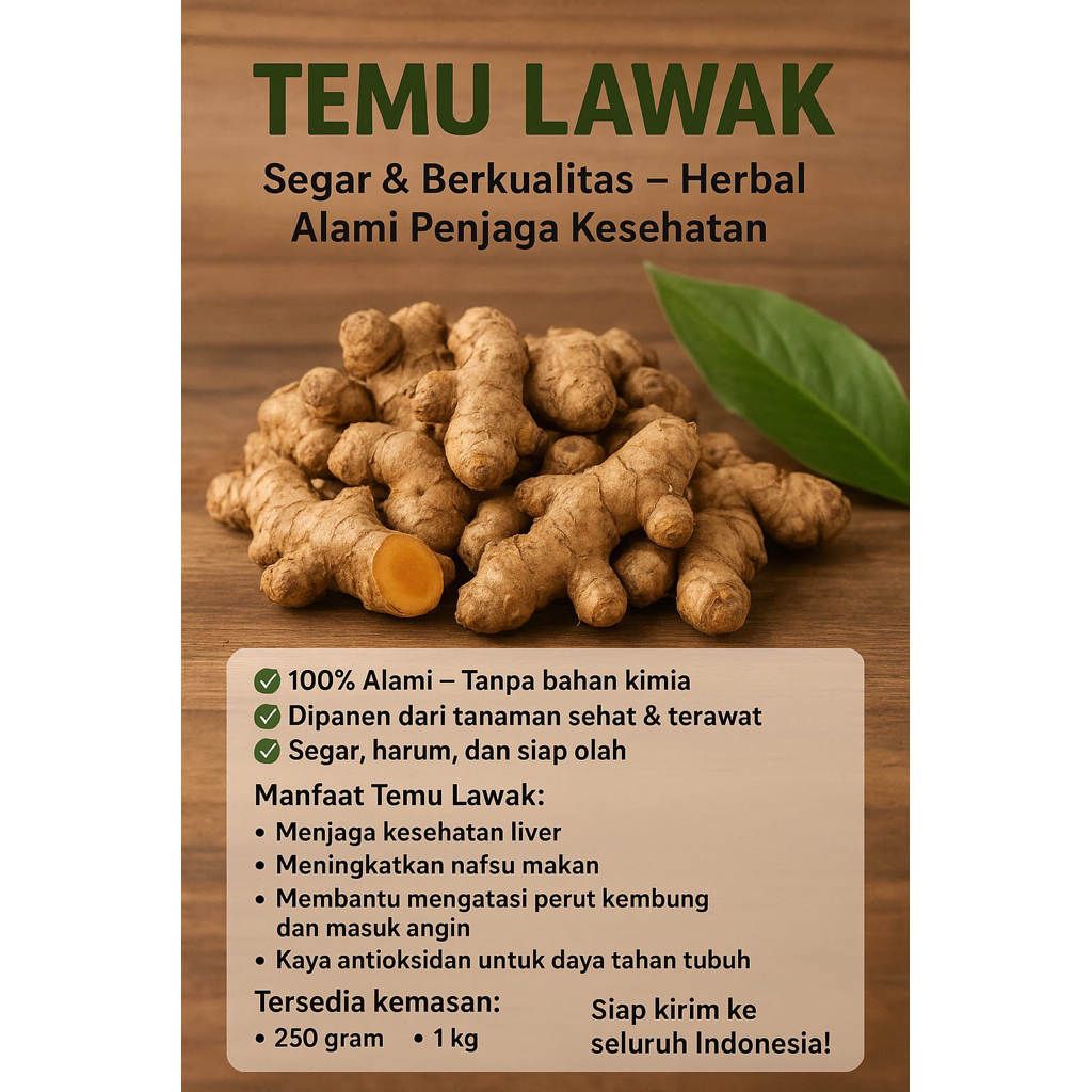 

Temu Lawak Segar Fress & Berkualitas - Herbal Alami Langsung dari kebun