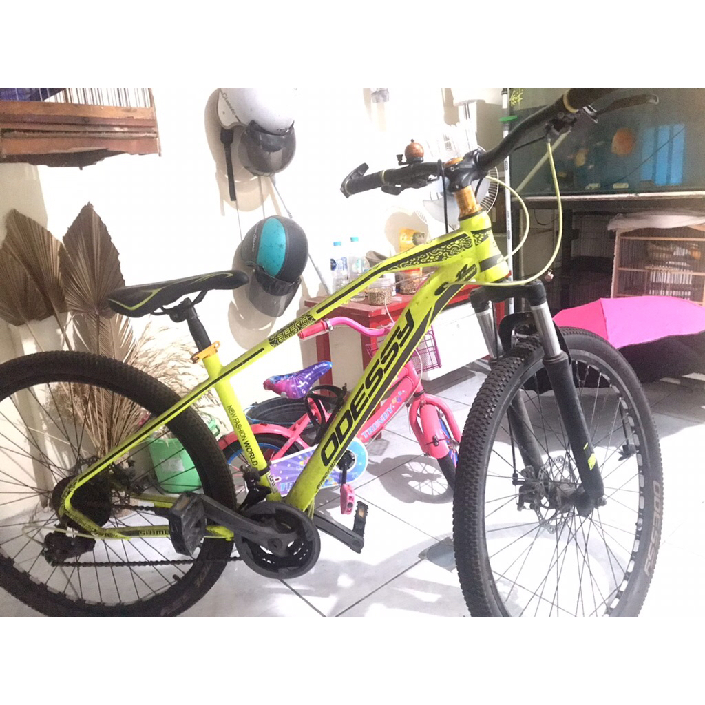 sepeda bekas odessy