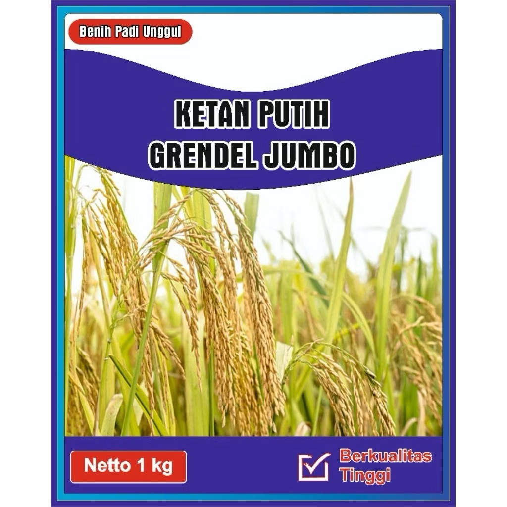 

Beras ketan putih berkualitas siap tanam (1000g)
