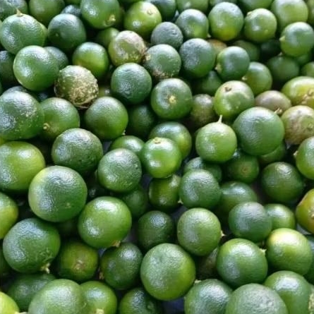 

Jeruk Peras Sunkist kunci segar