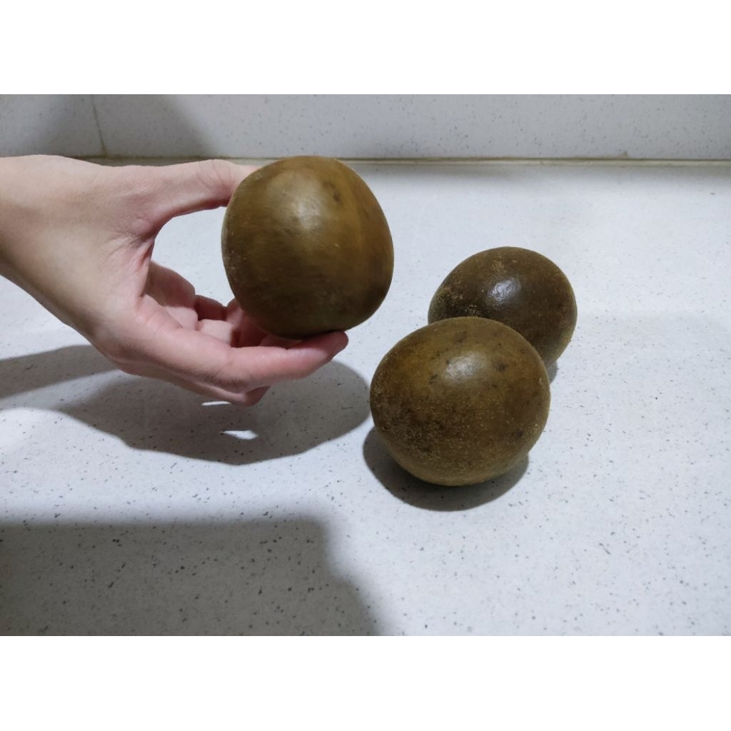 

buah lo Han Kuo perdah panas dalam dan batuk berdahak