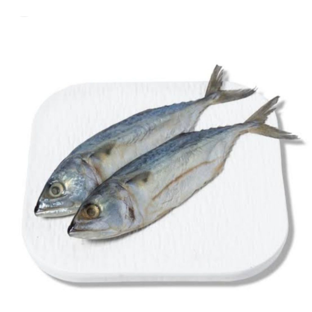 

Ikan Asin Peda Putih 150 Gram