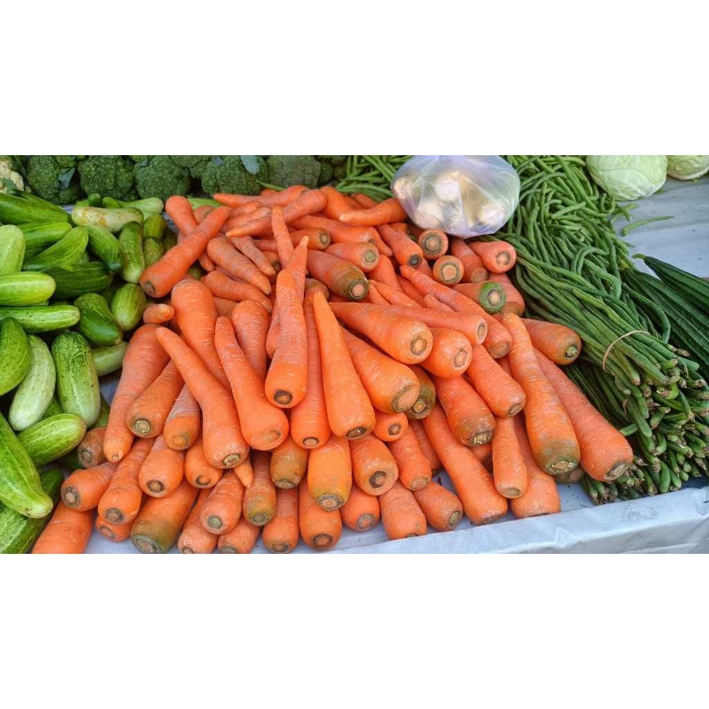 

Wortel berastagi Bagus dan Fresh 1 KG