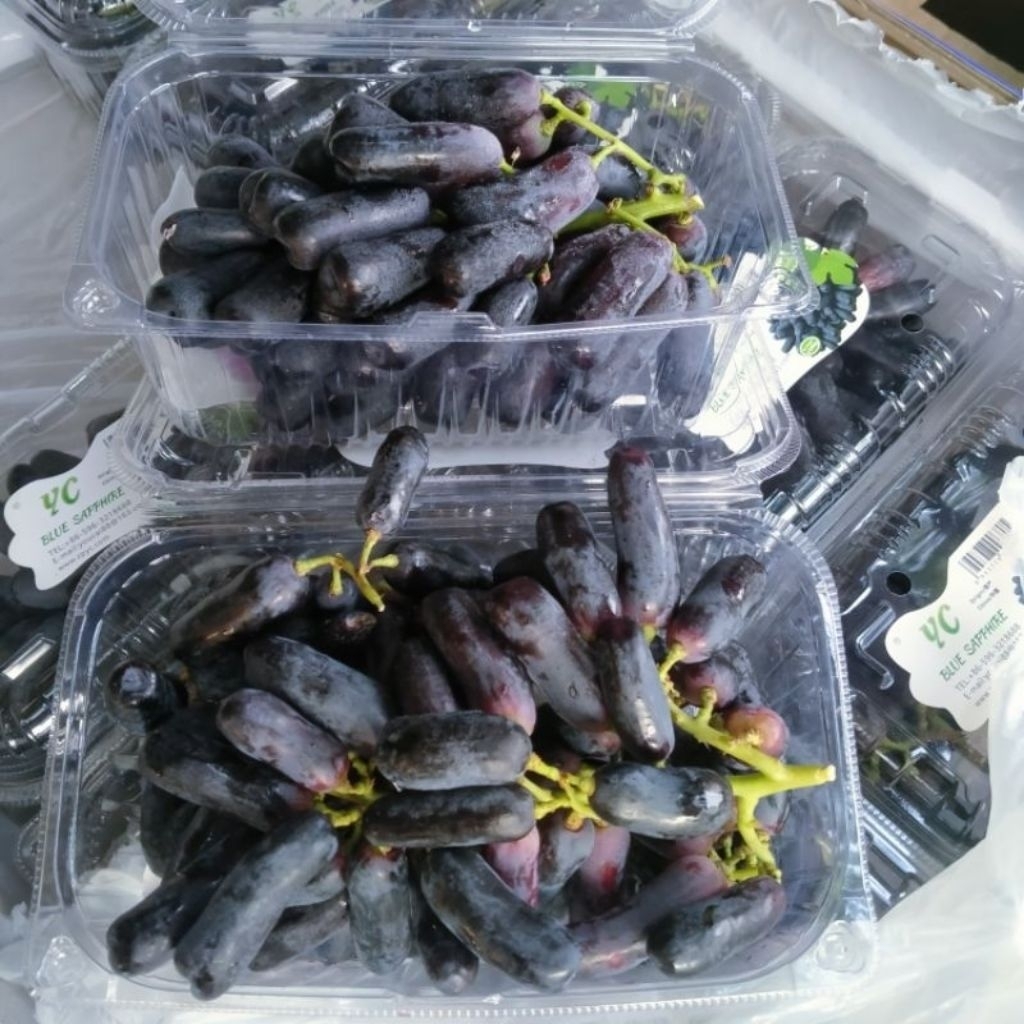 

ANGGUR SAPHIRE SEADLESS/ANGGUR JARI/ANGGUR MOONDROP PACK