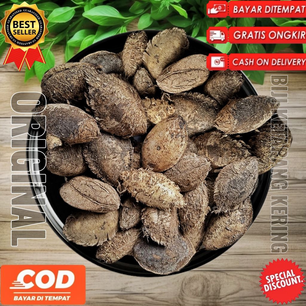 

Buah biji ketapang kering 1kg Biji ketapang kering 1kg buah ketapang kering 1kg full isi