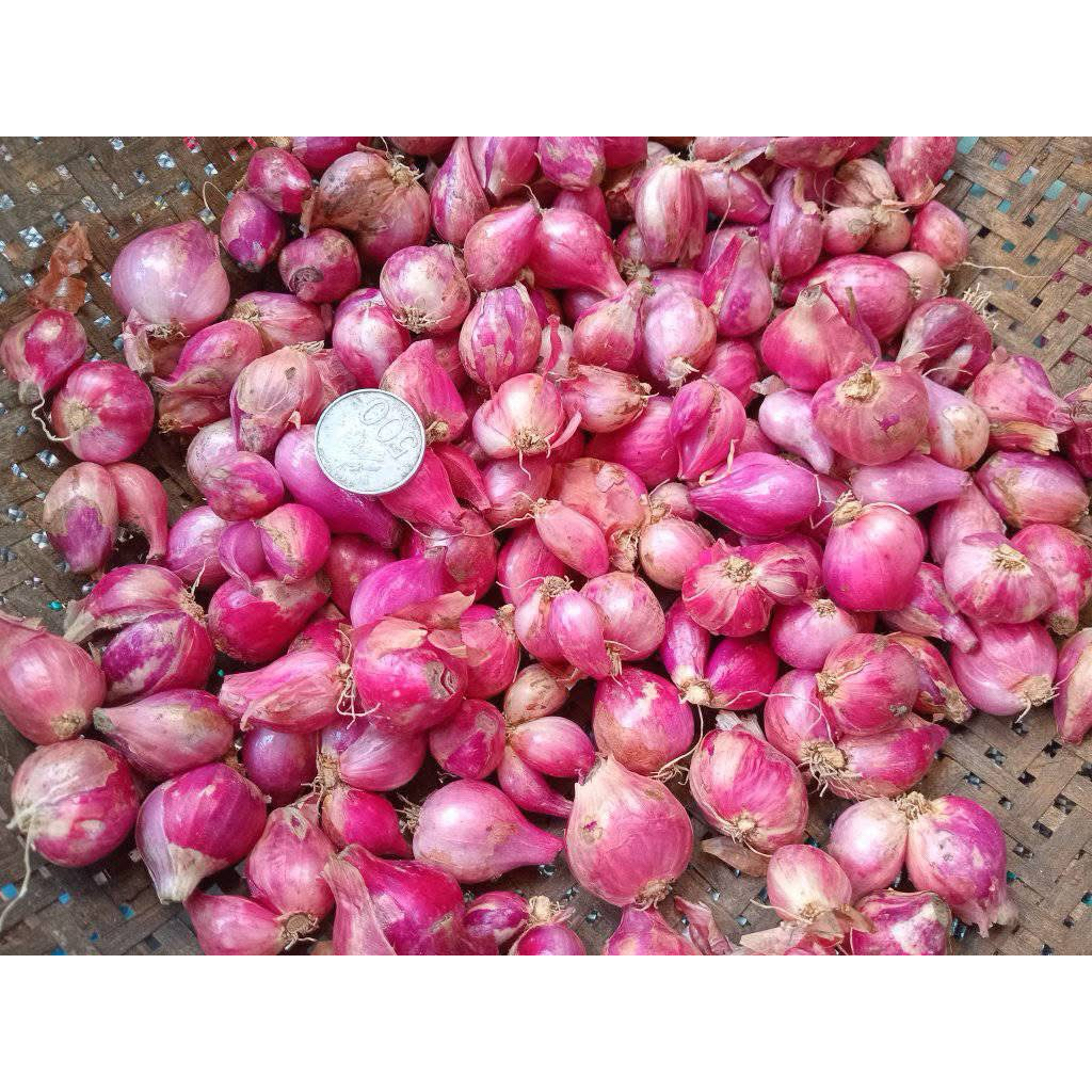 

Bawang Merah Lokal Kering size Campur