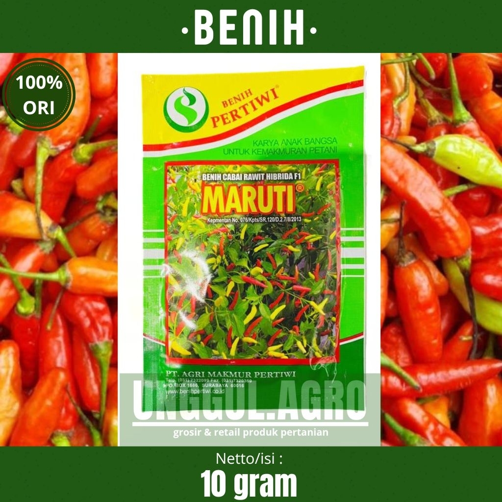 Benih cabai rawit MARUTI 10gram dari pertiwi