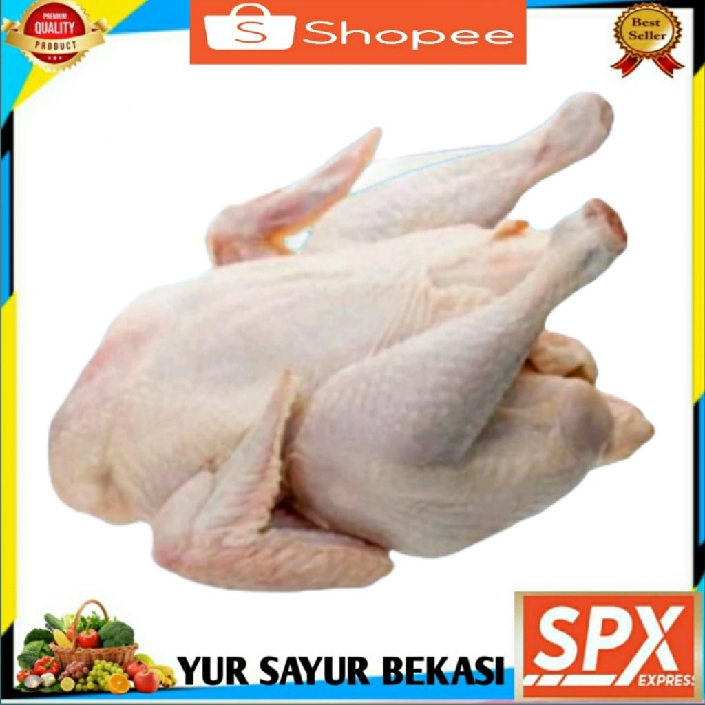 

Ayam Negeri Per Ekor.