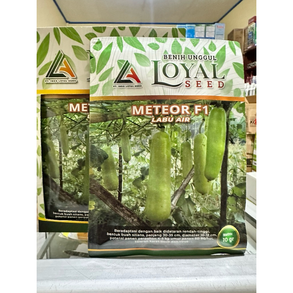 BENIH LABU AIR METEOR F1 10gram - LABU AIR METEOR F1 CAP LOYAL SEED