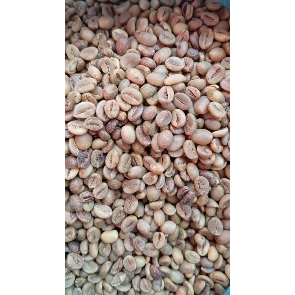 

kopi robusta green bean dampit 250 gr