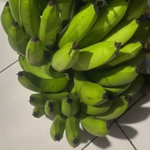 

Buah Pisang Mentah Erbe Fv50 Pisang Bangkaulu