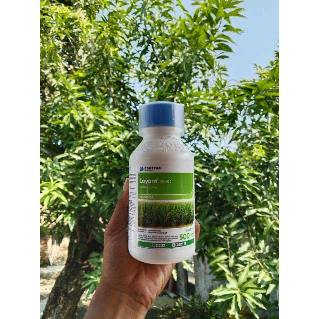 Loyant 25 EC 500ml