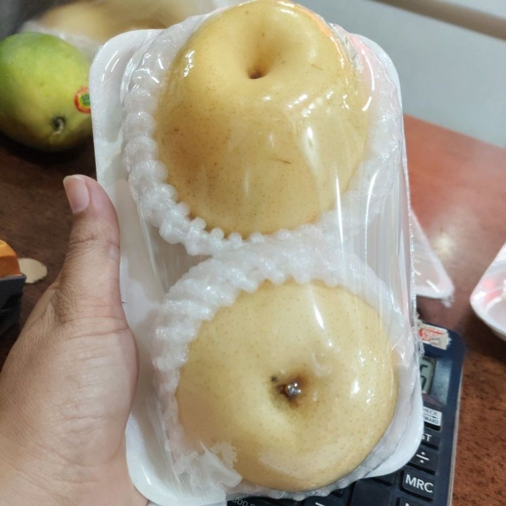 

pir century 2pcs/pack