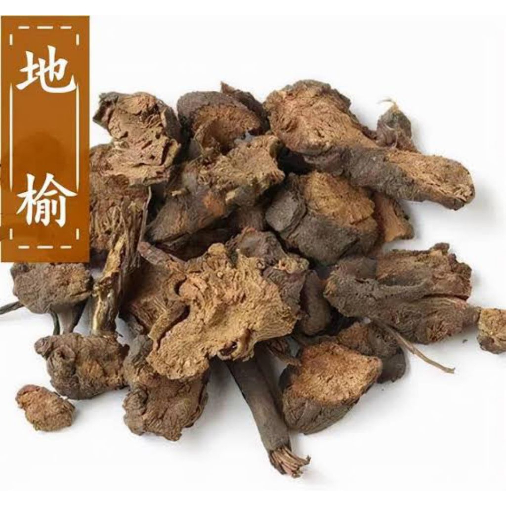 

Di Yu Pian/Sanguisorba Officinalis Linn