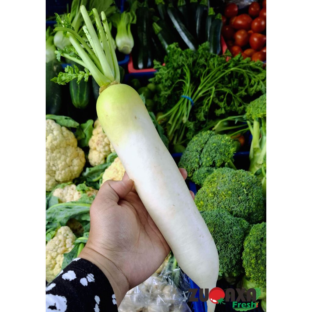 

Lobak / Lobak Putih 500gr