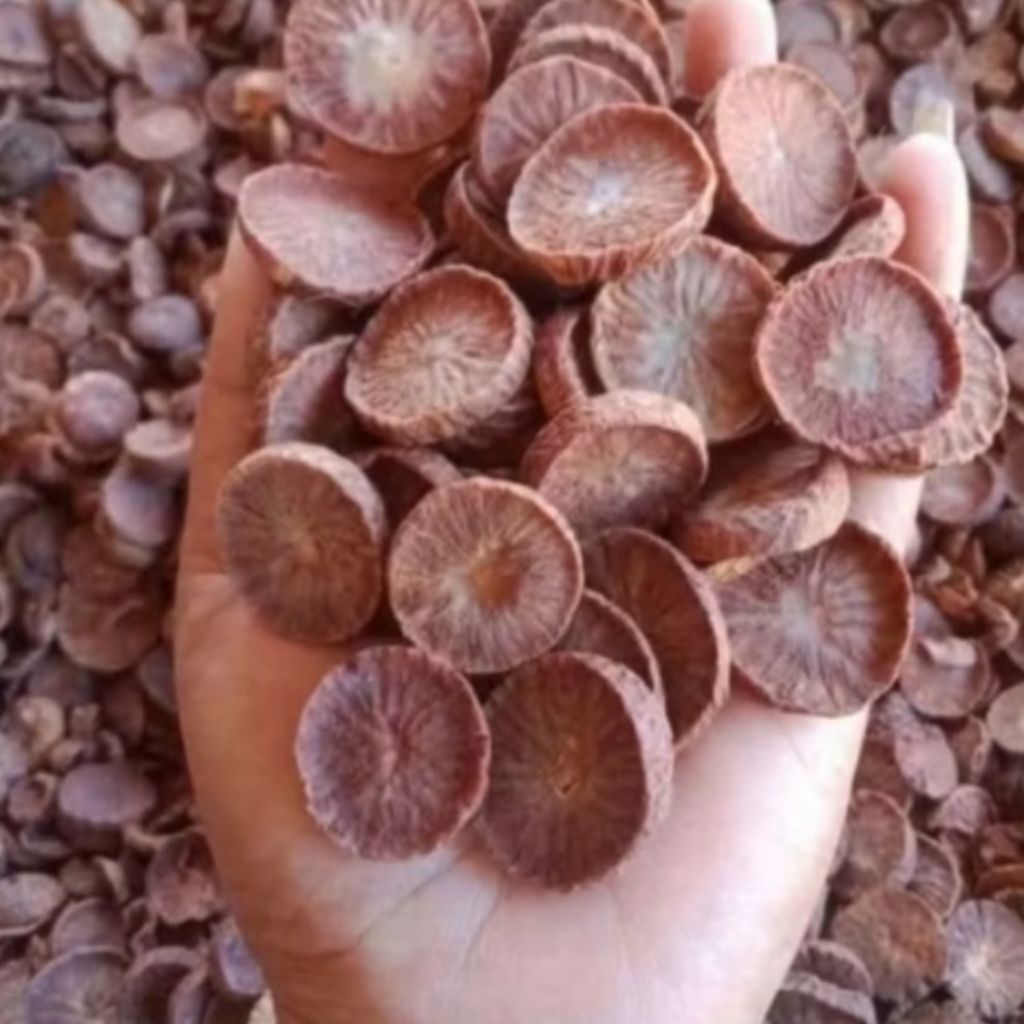 

KOIN BUAH PINANG IRIS KERING,250 GR