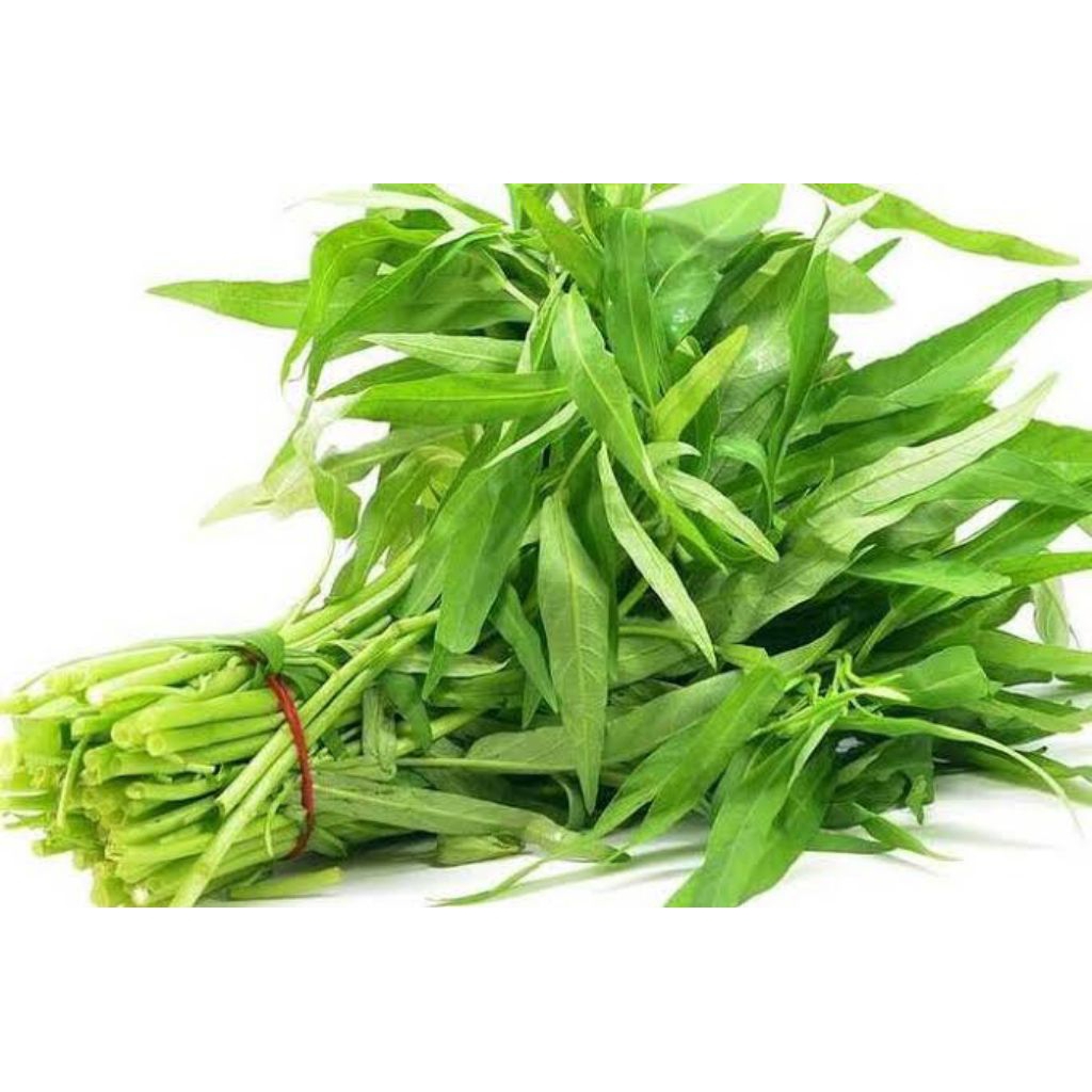 

Sayur Kangkung Fresh 1 ikat (Sayuran Segar)