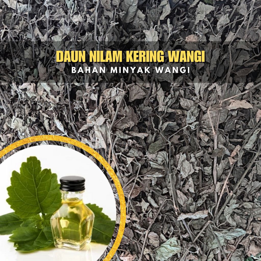 [Daun Nilam Kering] Bahan Minyak Wangi, Minyak Nilam, Parfum dan Aromaterapi 1 kg