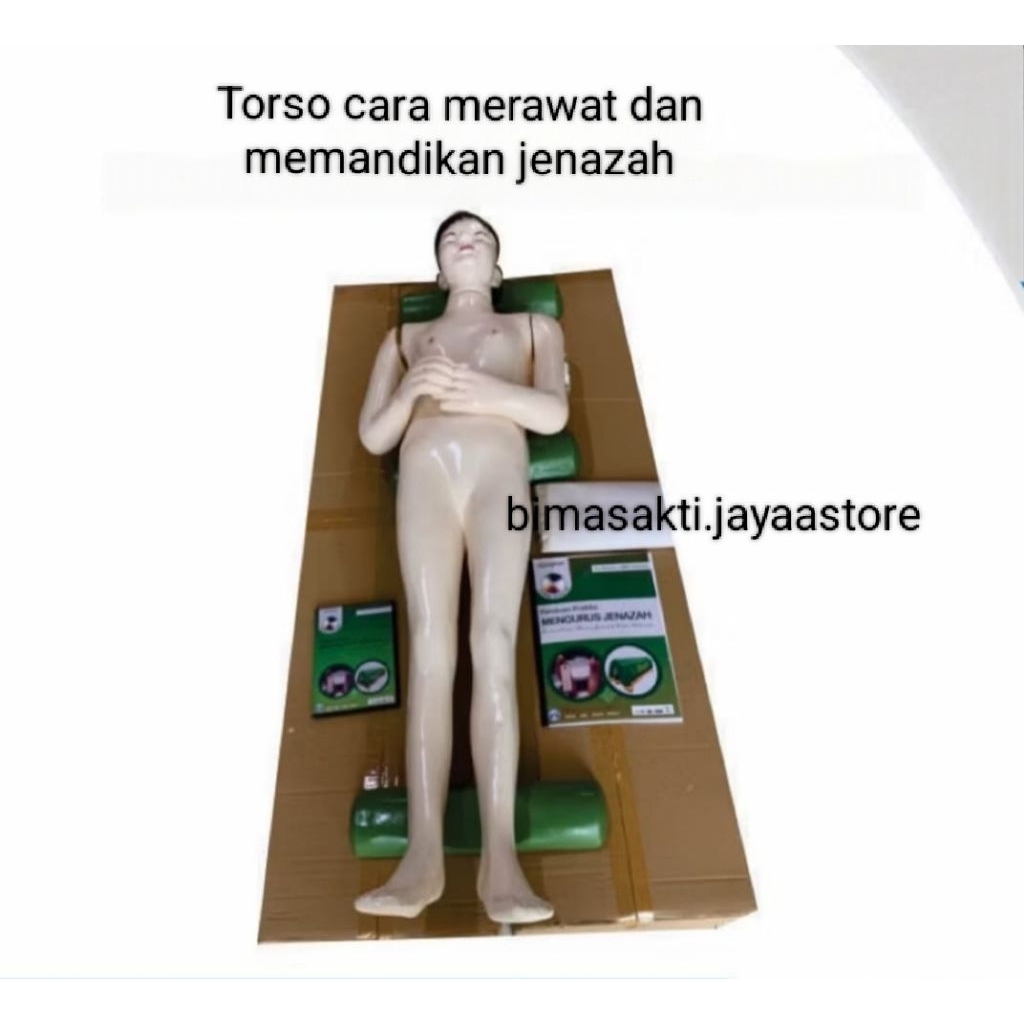 

Torso jenazah / peraga jenazah / patung jenazah / alat peraga torso manekin berkualitas