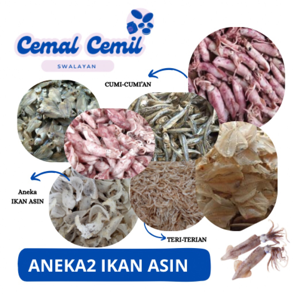 

[COD] IKAN ASIN SERBA 10RIBU (minimal CO 4 Pcs Bisa DiCampur )