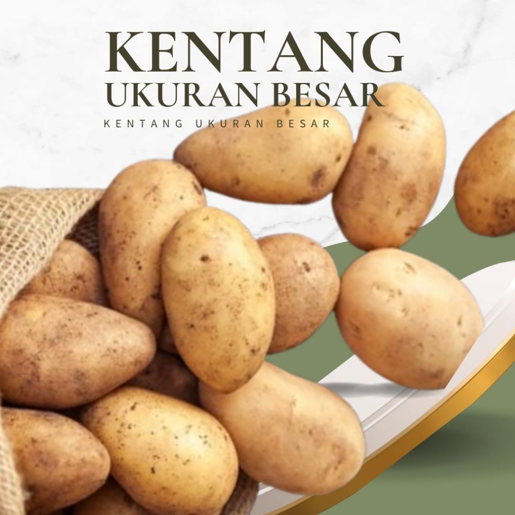 

kentang ukuran ABC 1kg / kentang ukuran besar