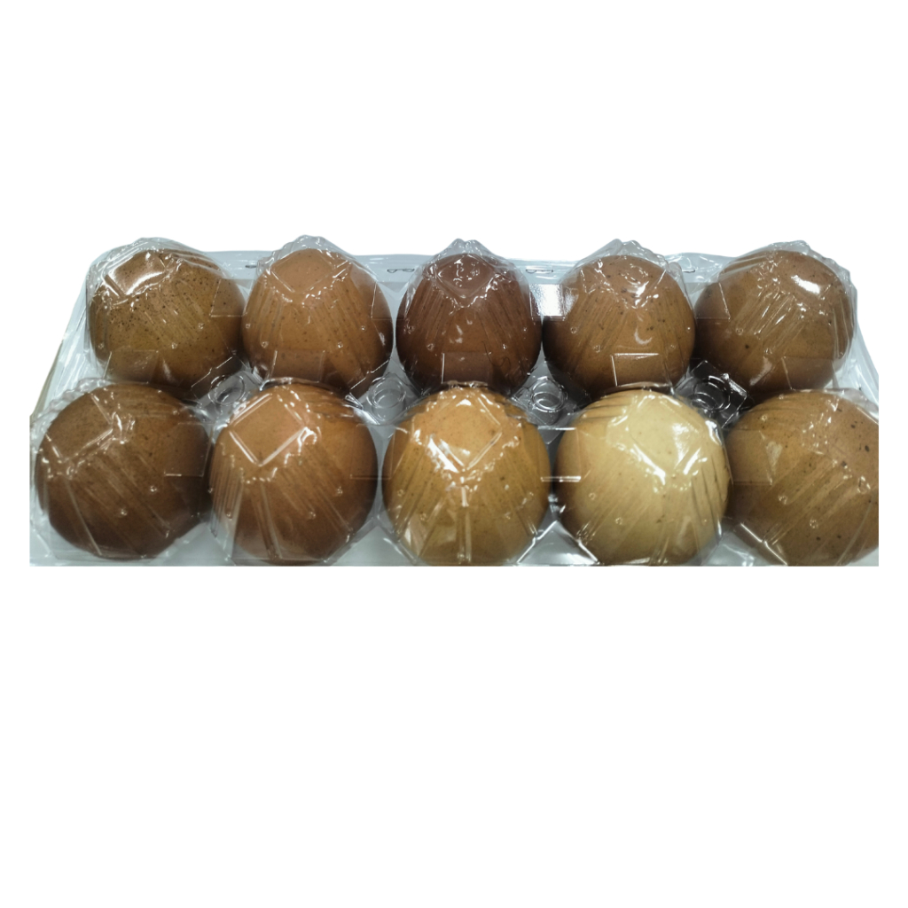 

Telur Ayam Ras ukuran super pack isi 10