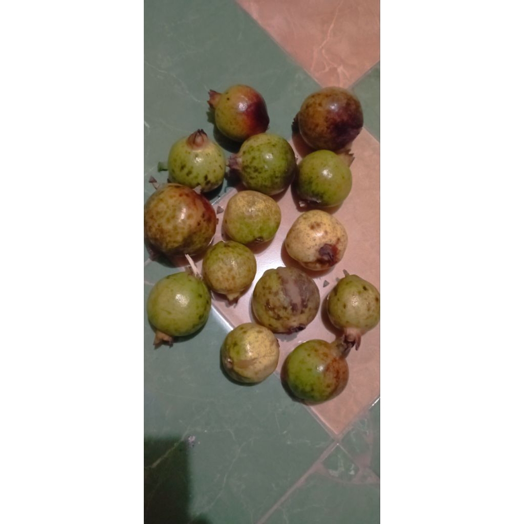 

Buah delima fressh/segar 1kg
