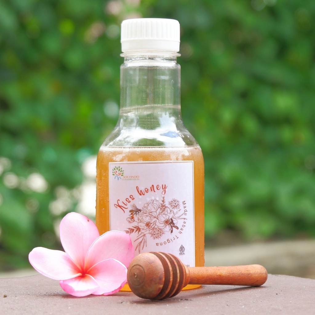 

Kiss Honey - Madu Trigona - Madu Kelulut - Madu Asli dan Alami 100%