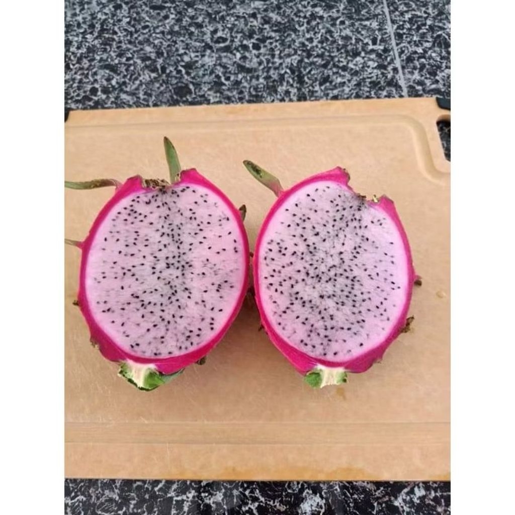 

Buah Naga Pink Fresh | Naga Pink Viral 1 Pcs