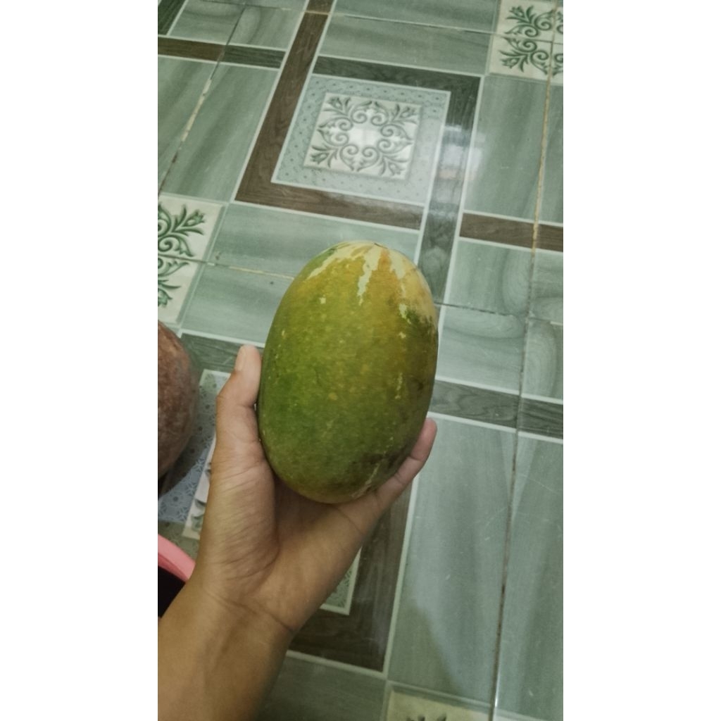 

timun kampung/timun ode Kalimantan Barat