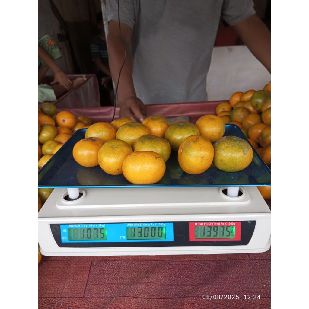 

jeruk Medan DR Top isi 12