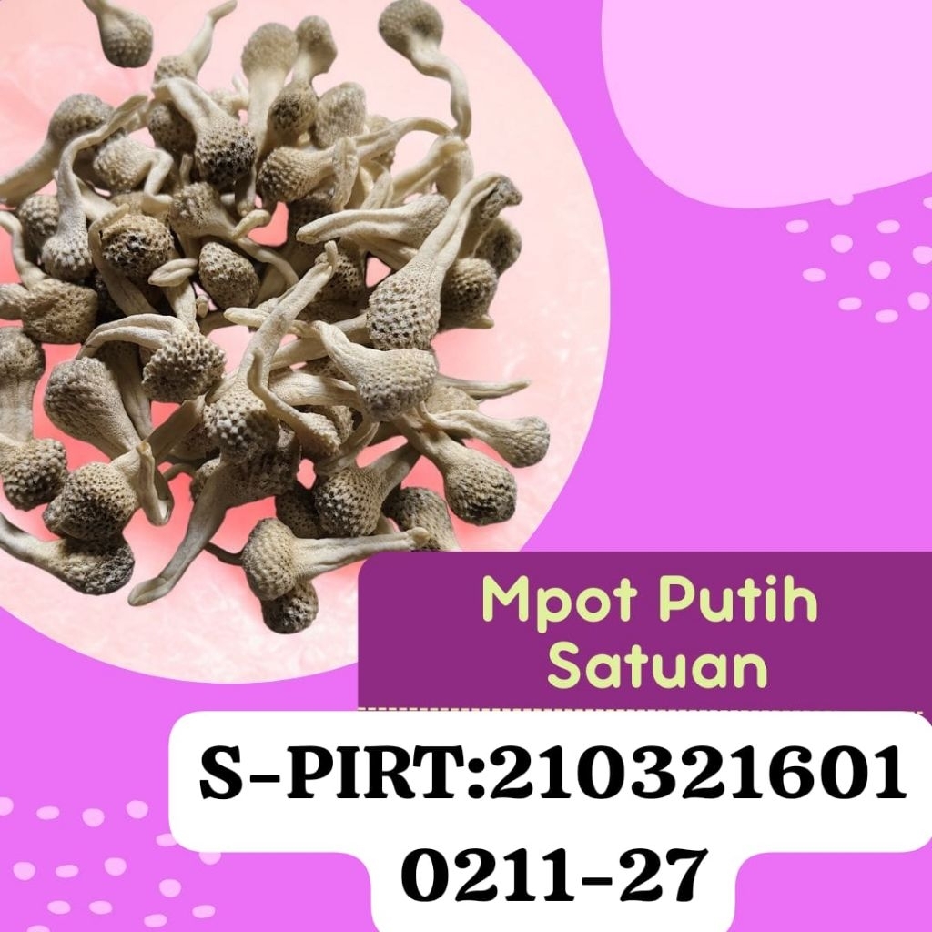 Mpot Mpot Putih ori satuan