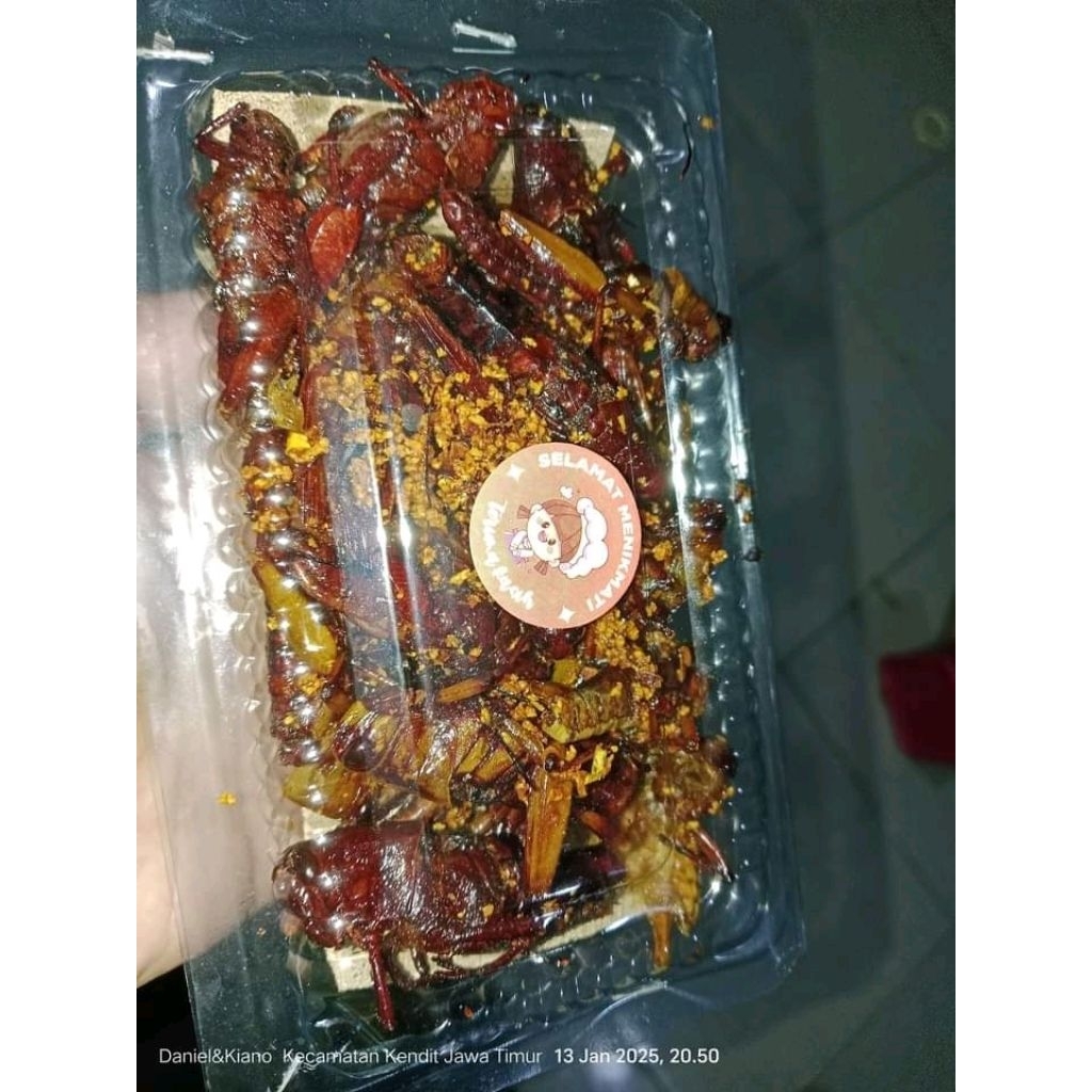 

belalang goreng