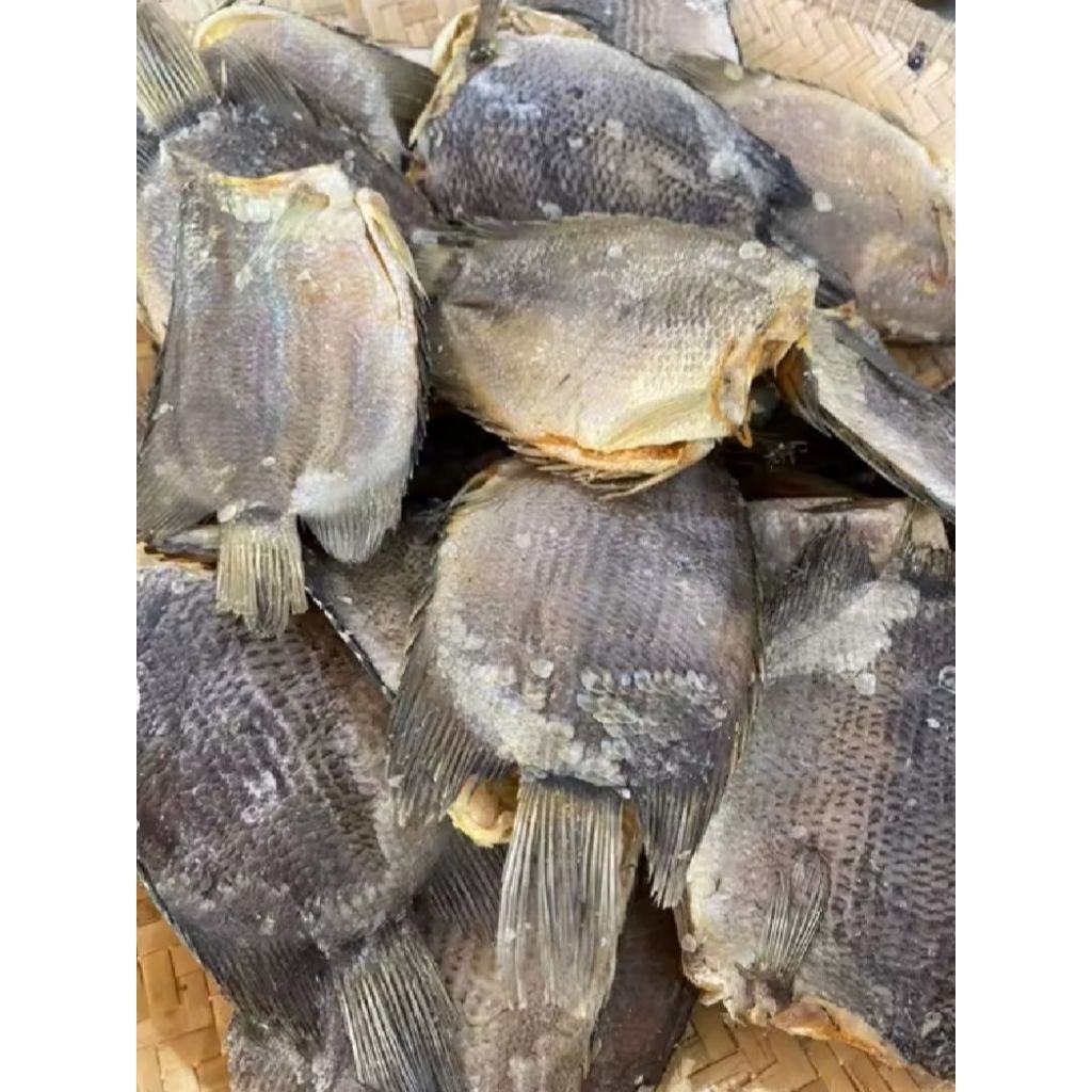 

promo ikan asin btok murah