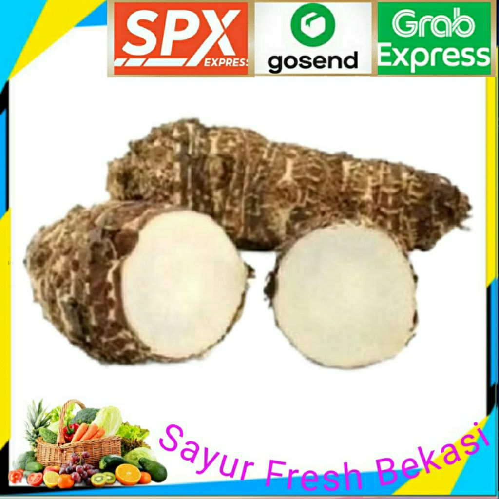 

Umbi Talas Segar/Fresh 1kg.